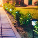 Home Decor and Garden